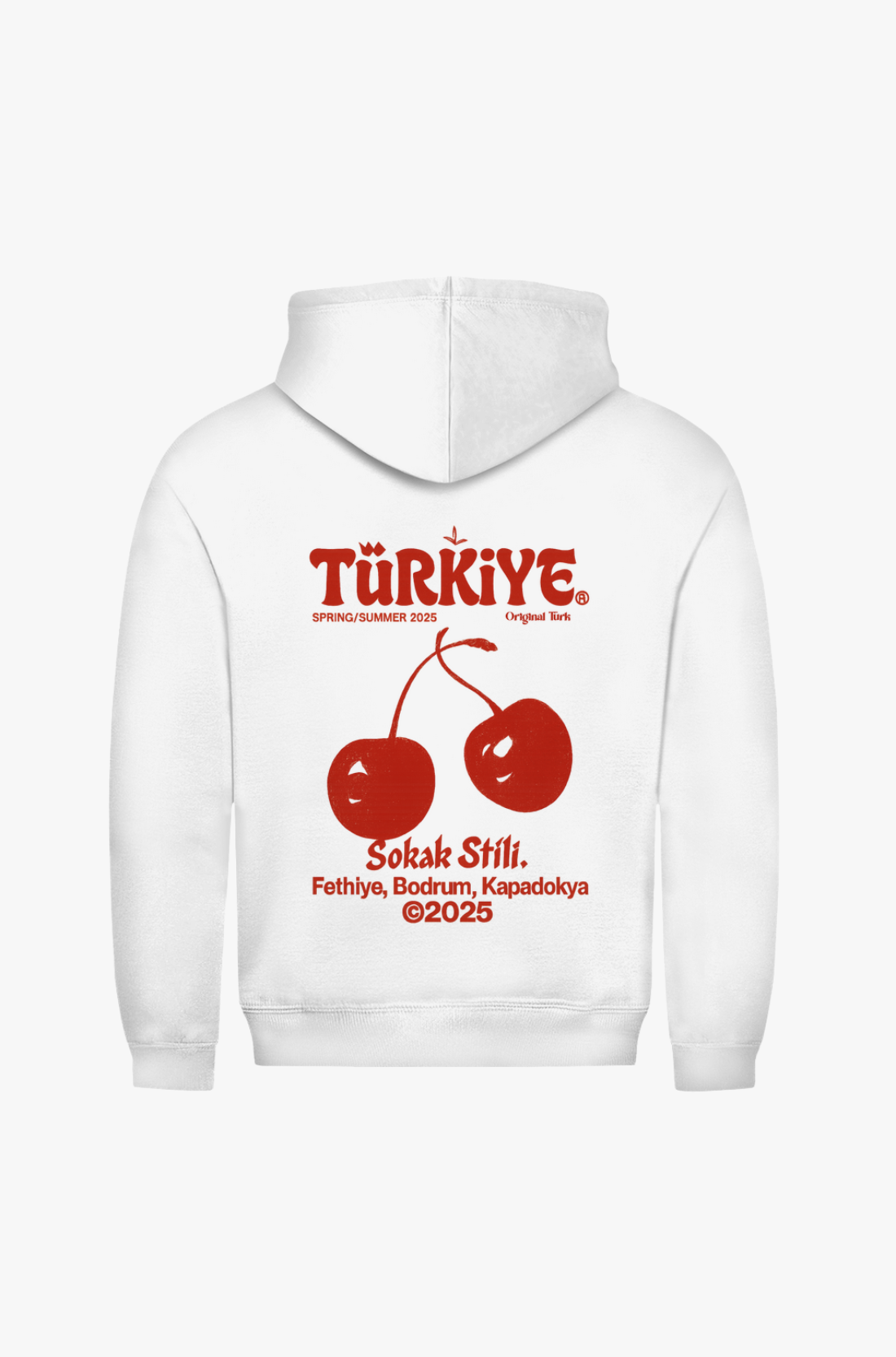TÜRKIYE- PREMIUM HOODIE