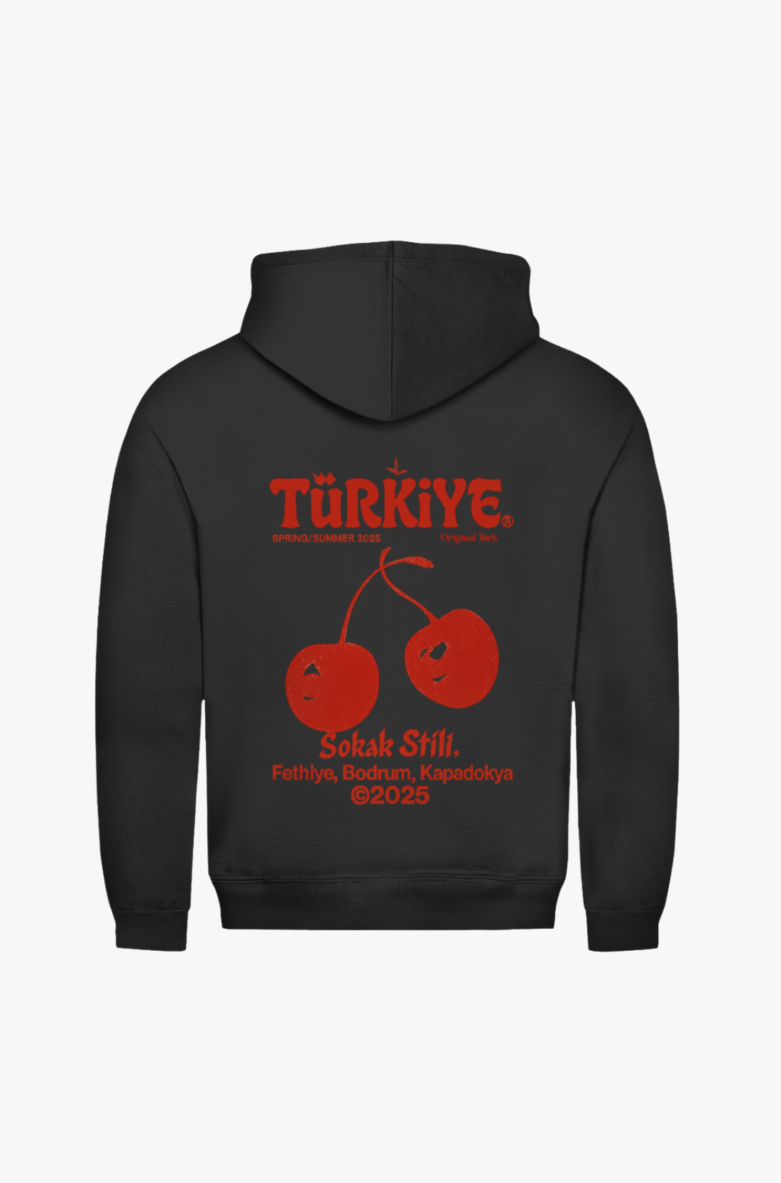 TÜRKIYE- PREMIUM HOODIE